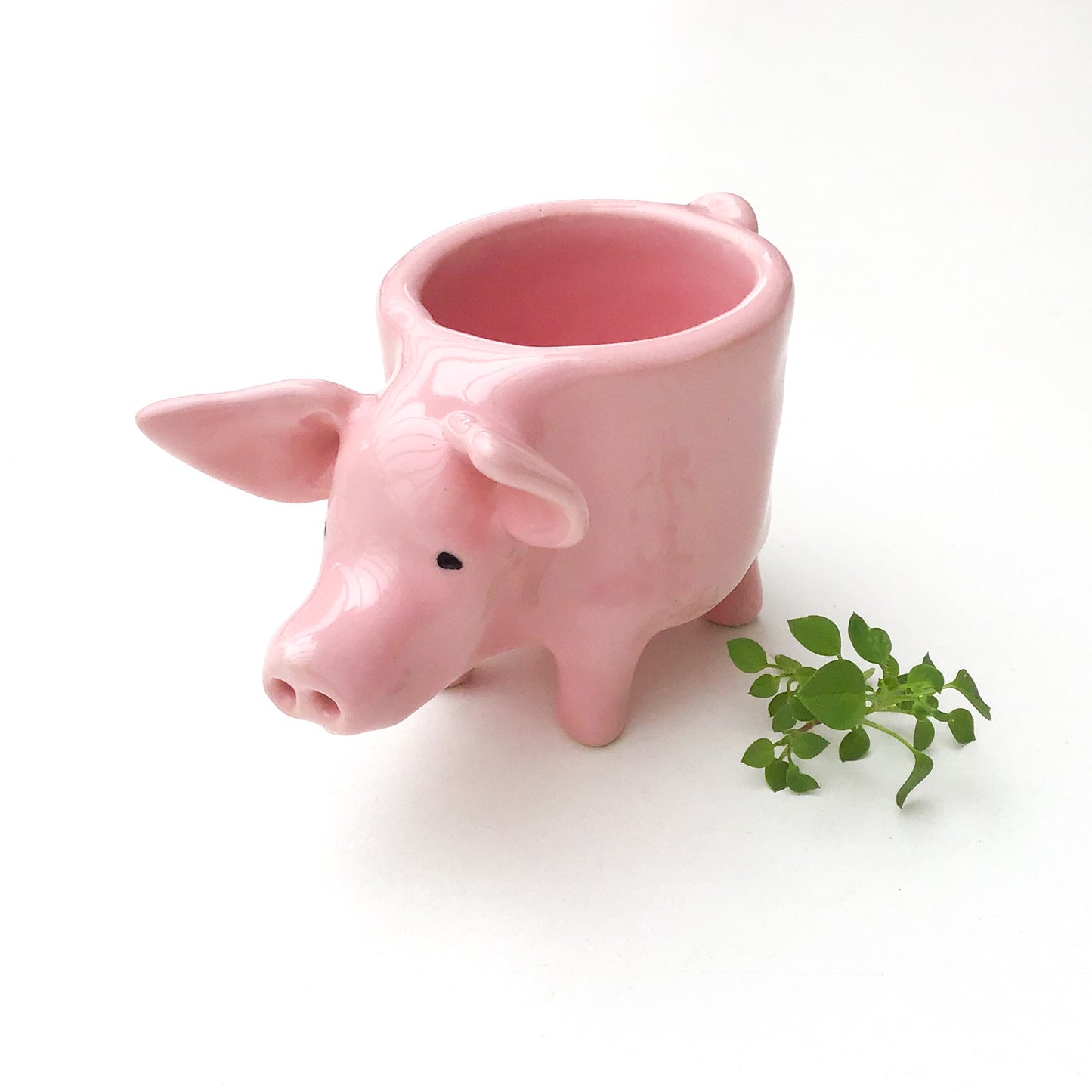 Little Pink Pig Pot - Ceramic Pig Planter