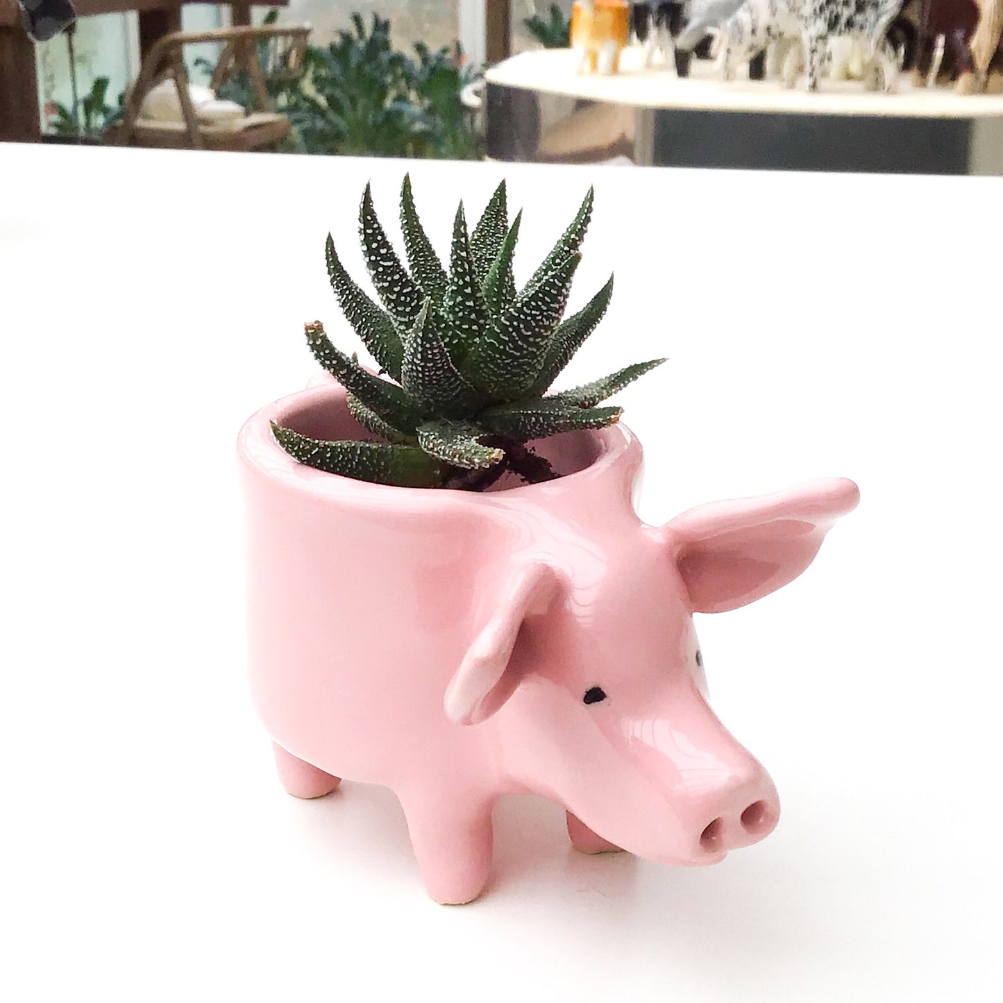 Little Pink Pig Pot - Ceramic Pig Planter