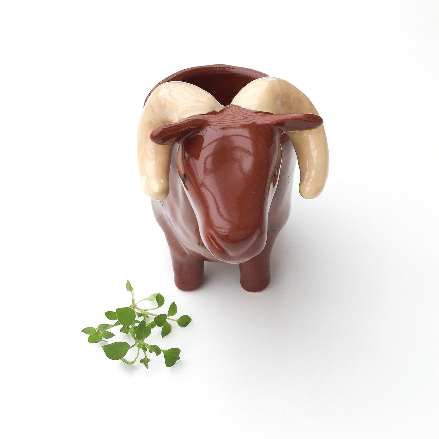 Brown Sheep Pot - Ceramic Sheep Planter