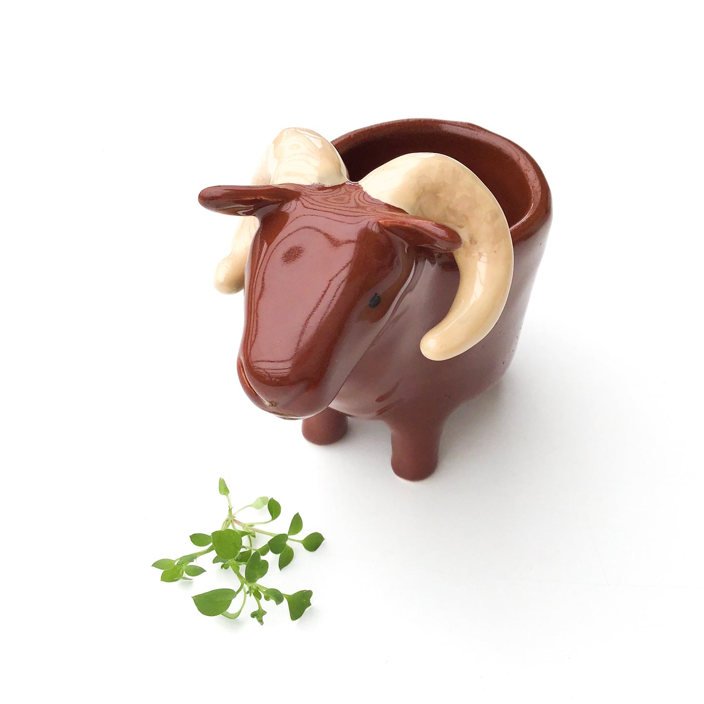 Brown Sheep Pot - Ceramic Sheep Planter