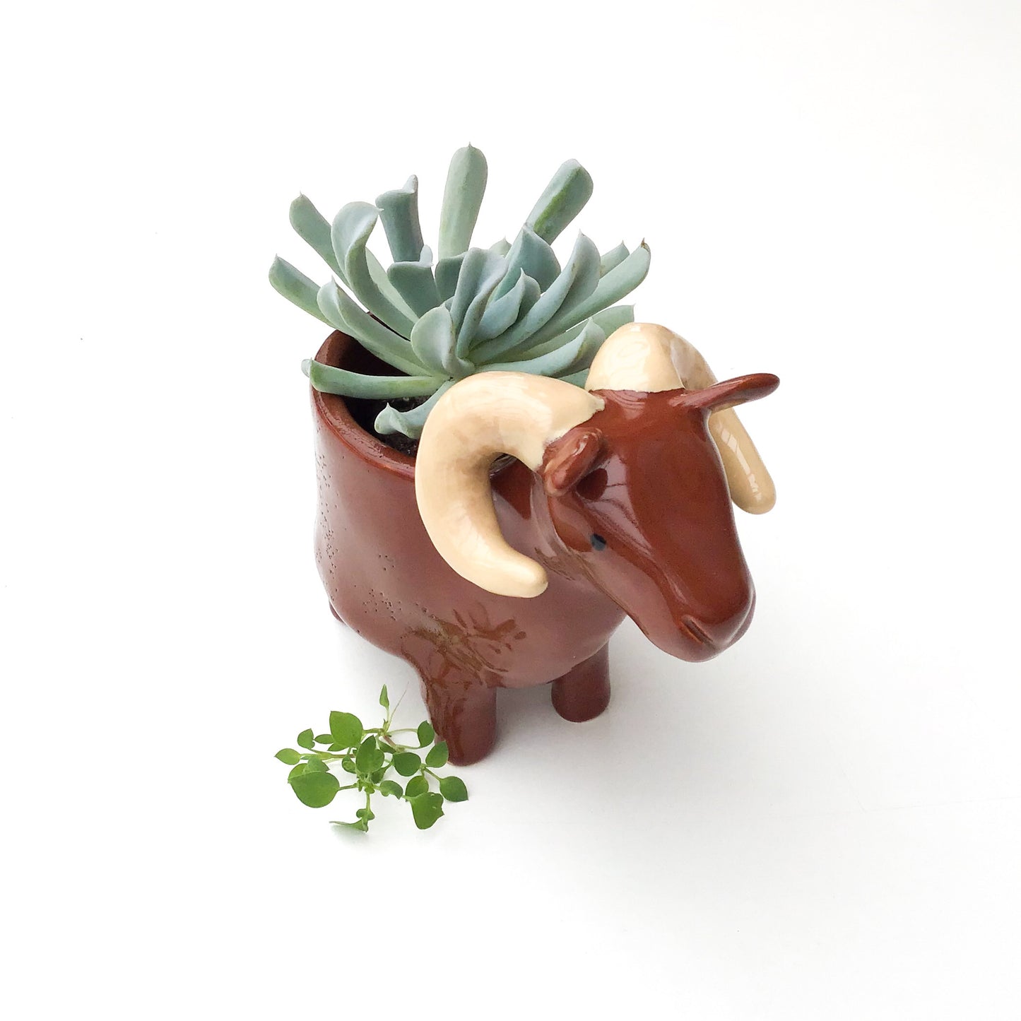 Brown Sheep Pot - Ceramic Sheep Planter