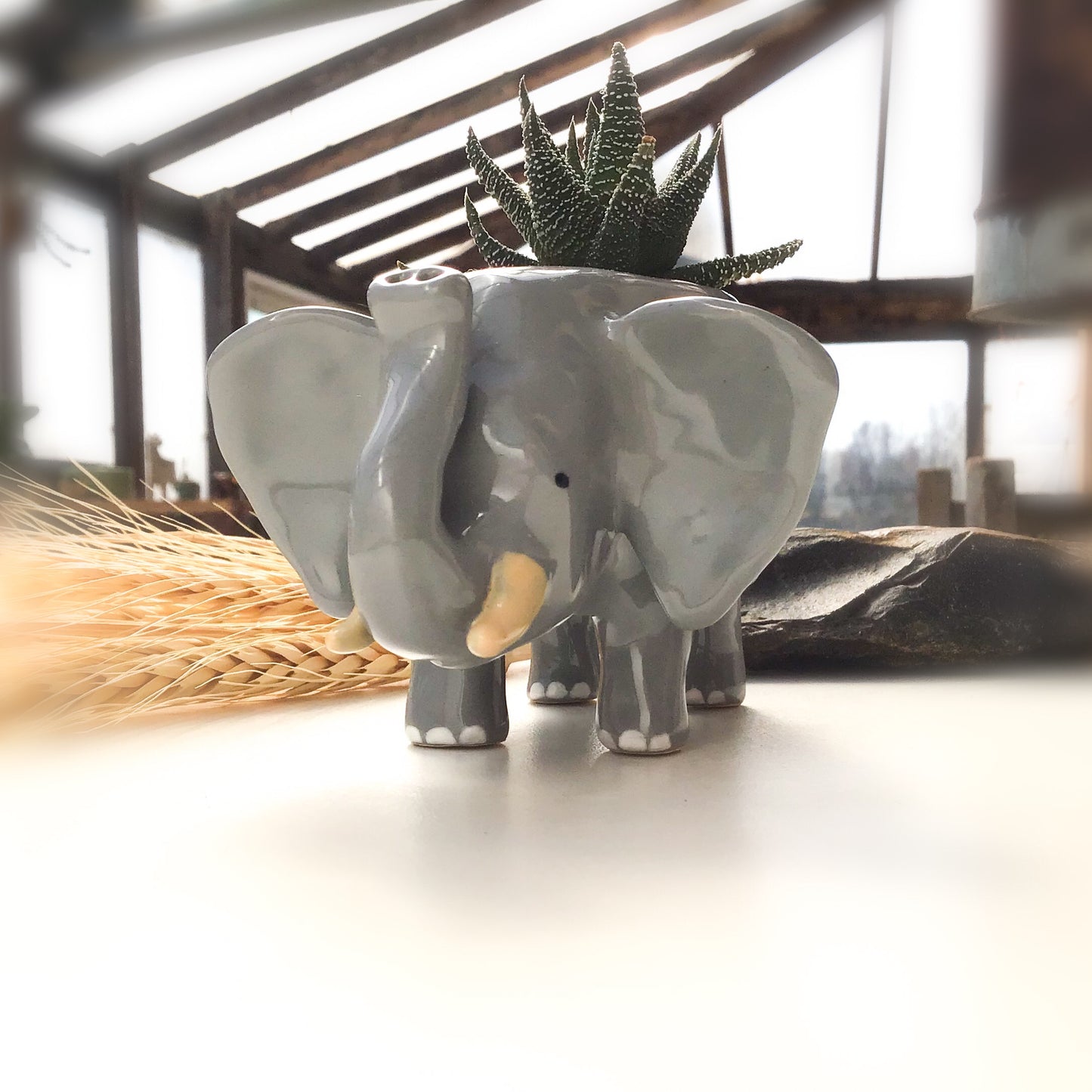 African Elephant Planter - Elephant Succulent Pot