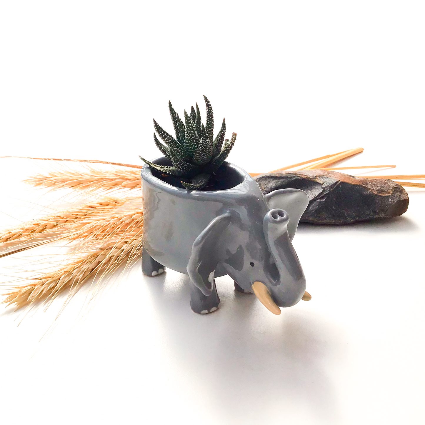 African Elephant Planter - Elephant Succulent Pot