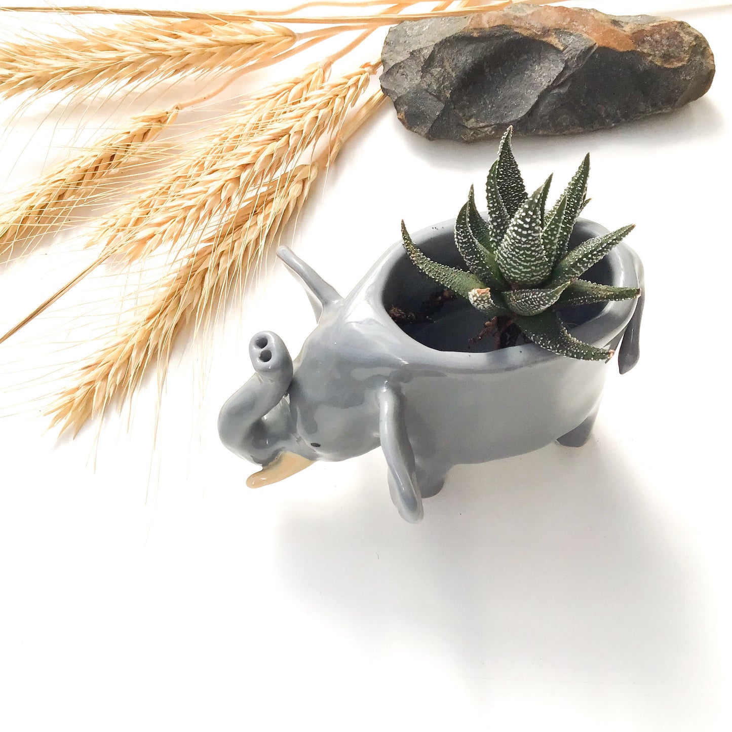 African Elephant Planter - Elephant Succulent Pot