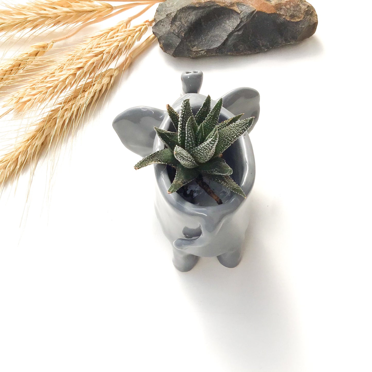 African Elephant Planter - Elephant Succulent Pot