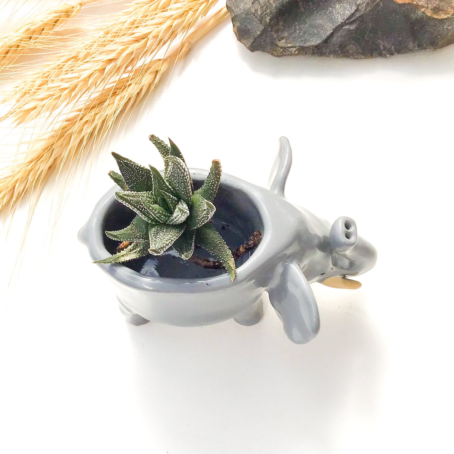 African Elephant Planter - Elephant Succulent Pot