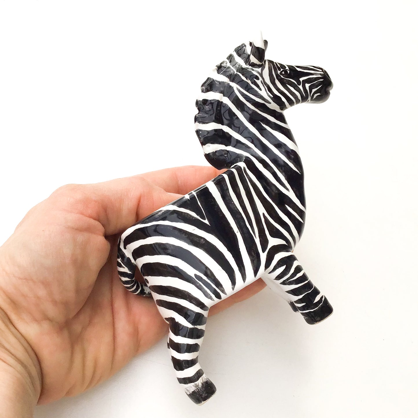 Zebra Planter - Zebra Succulent Pot