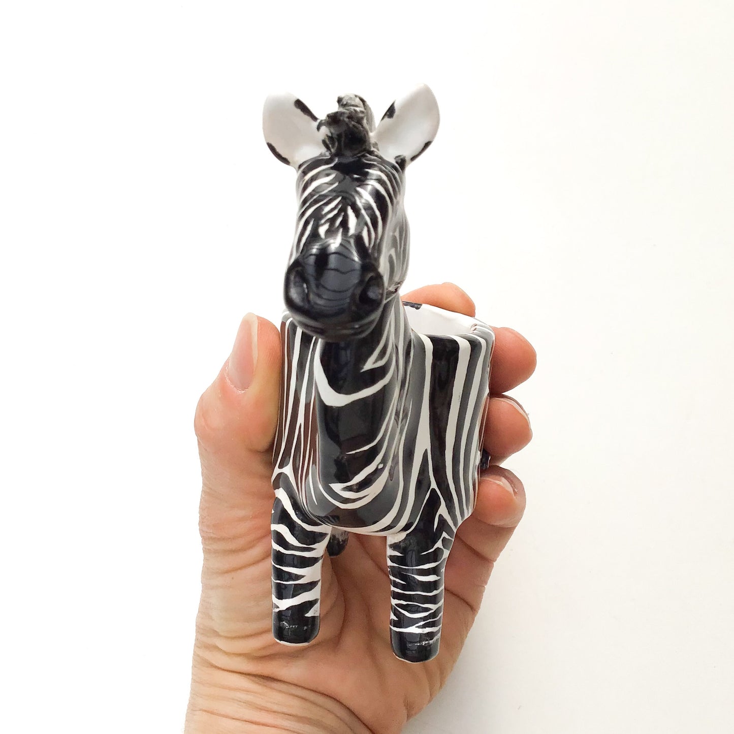 Zebra Planter - Zebra Succulent Pot