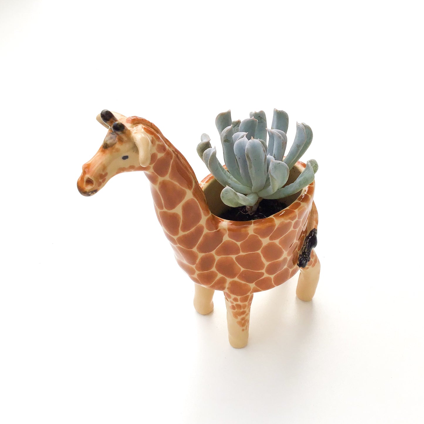 Giraffe Planter - Giraffe Succulent Pot