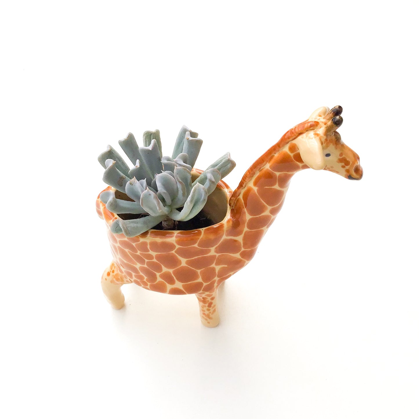 Giraffe Planter - Giraffe Succulent Pot