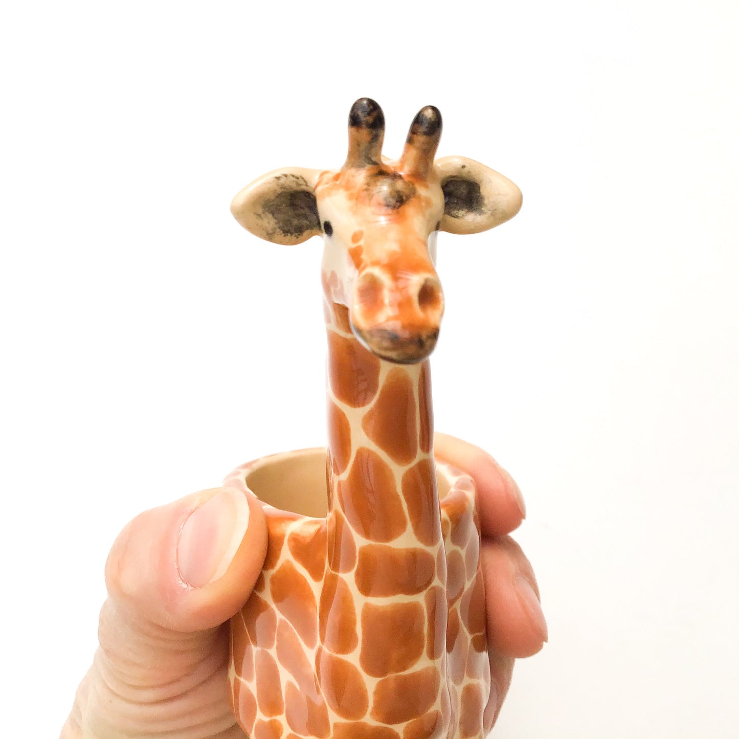 Giraffe Planter - Giraffe Succulent Pot