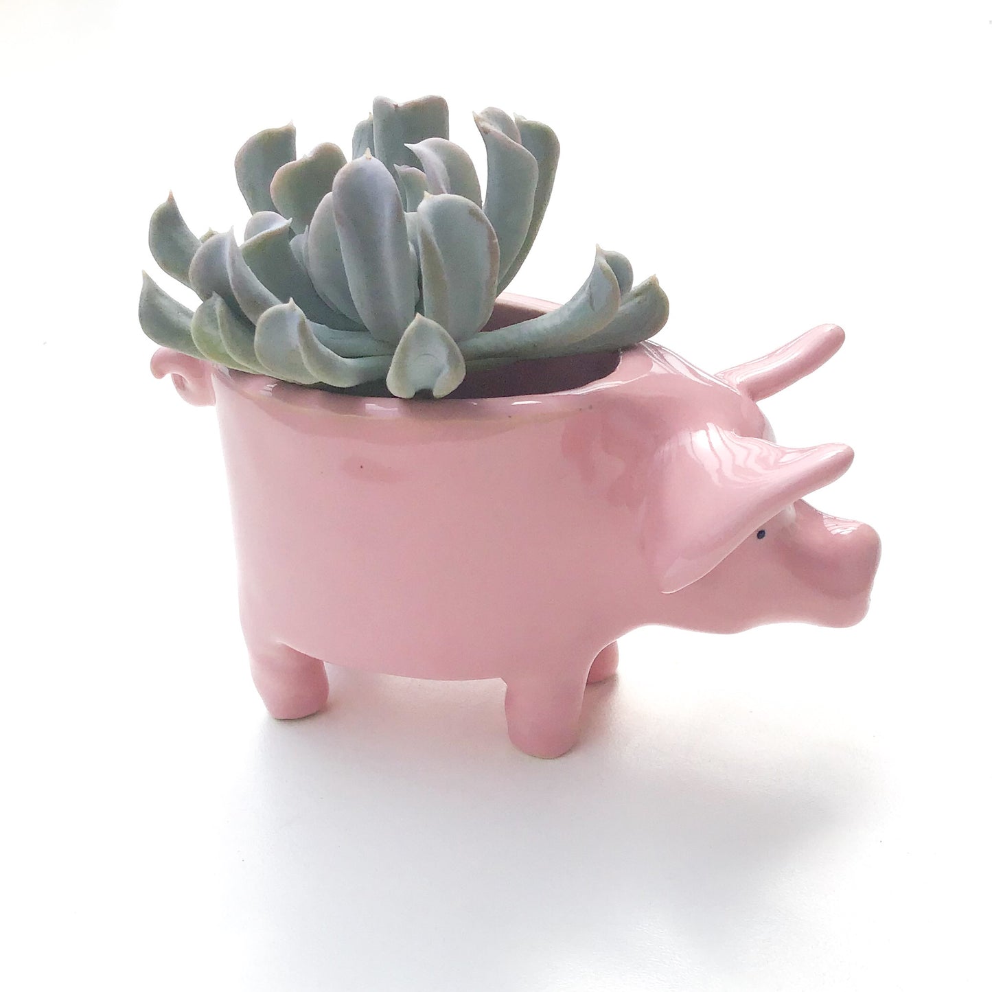 Little Pink Pig Pot - Ceramic Pig Planter