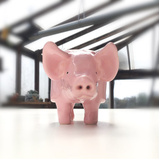 Little Pink Pig Pot - Ceramic Pig Planter