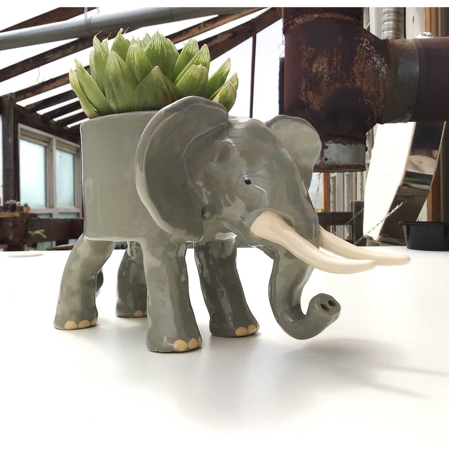 African Elephant Planter - Elephant Succulent Pot