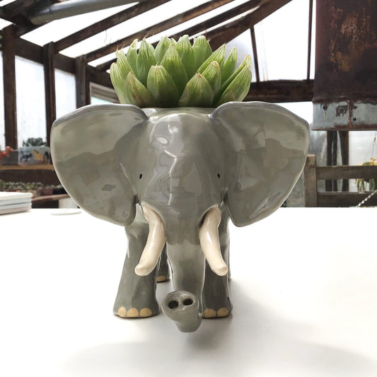 African Elephant Planter - Elephant Succulent Pot