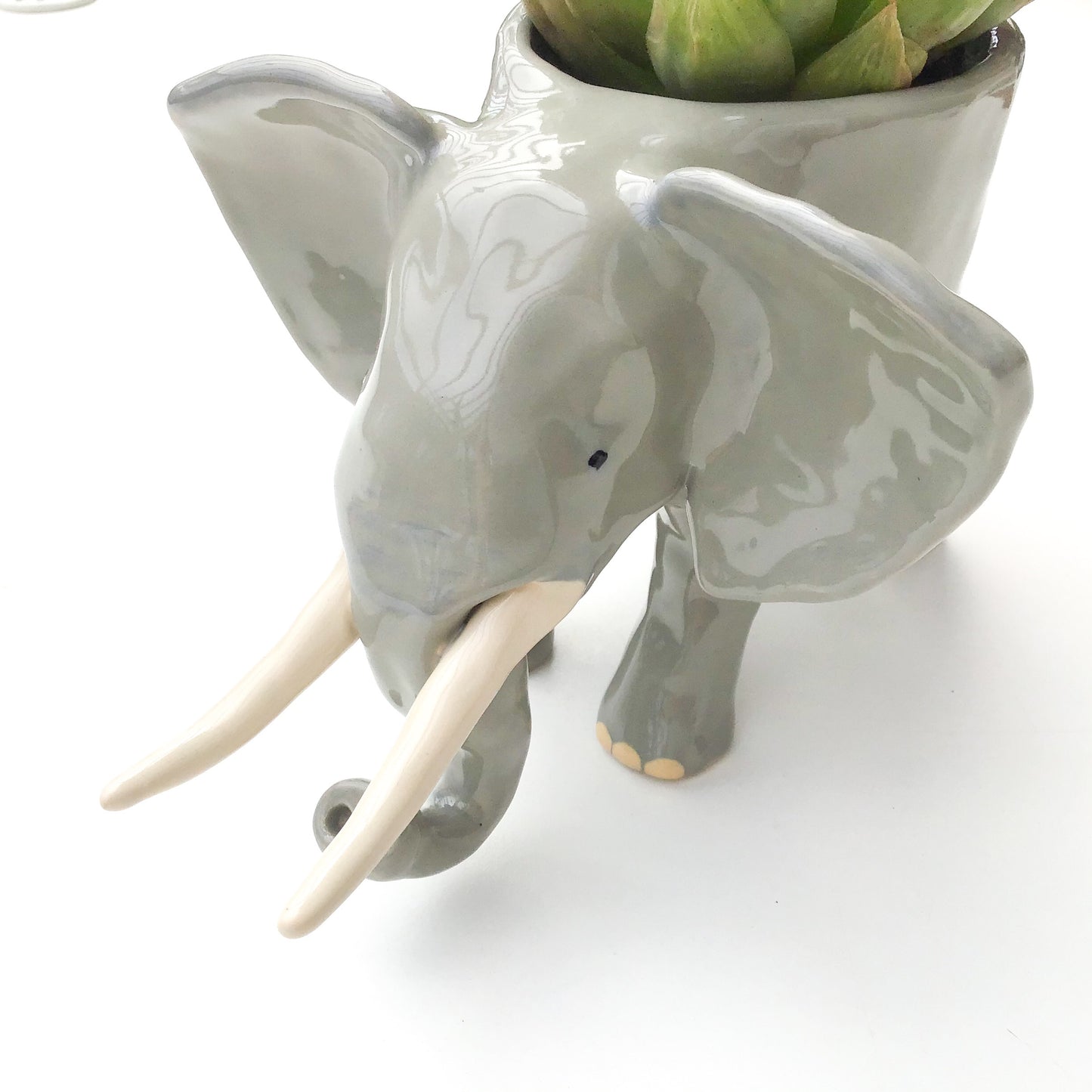 African Elephant Planter - Elephant Succulent Pot