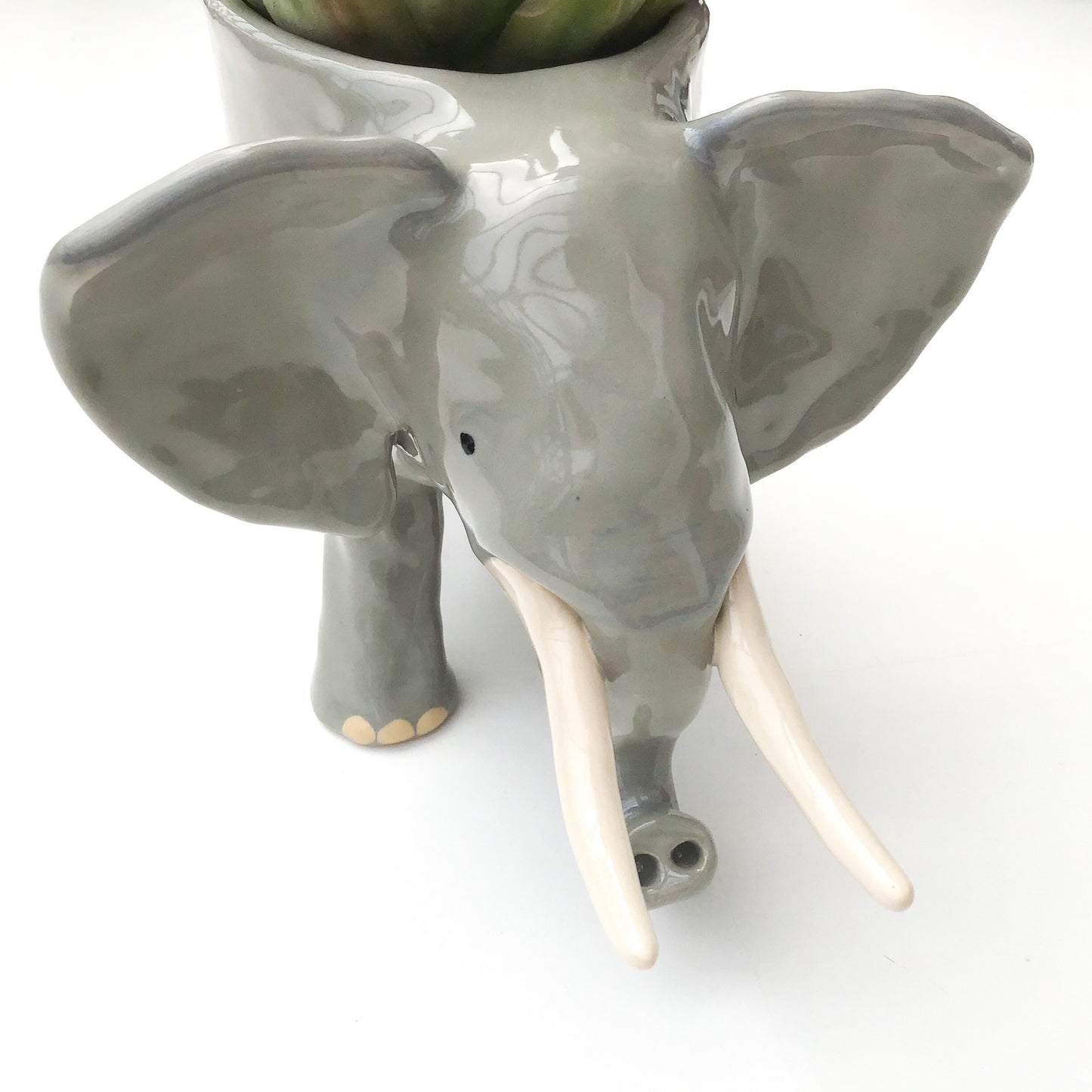 African Elephant Planter - Elephant Succulent Pot