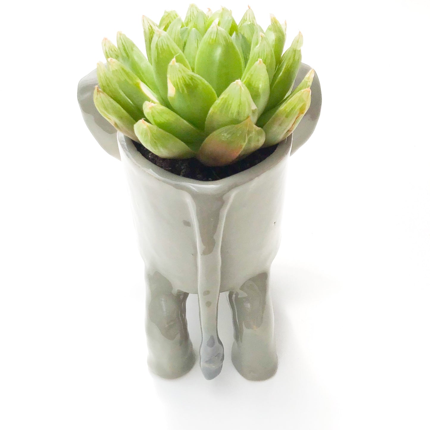 African Elephant Planter - Elephant Succulent Pot