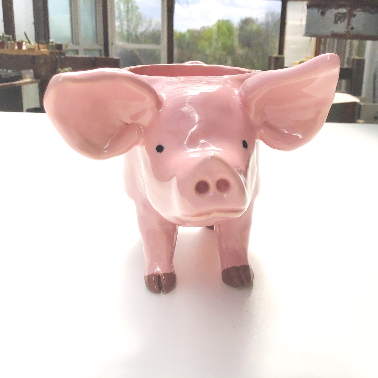 Pink Pig Pot - Ceramic Pig Planter