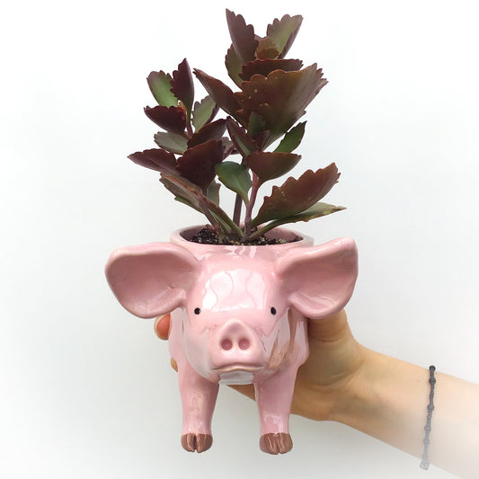 Pink Pig Pot - Ceramic Pig Planter