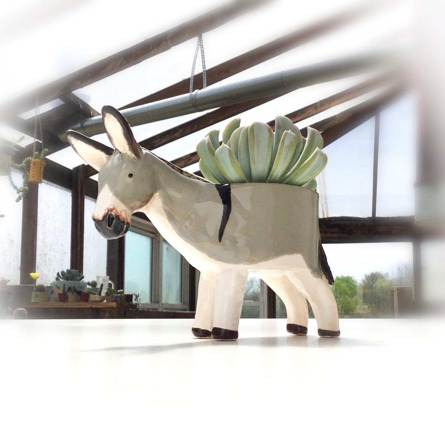 Donkey Planter - Ceramic Donkey Plant Pot