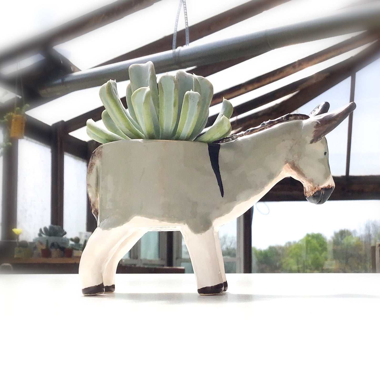 Donkey Planter - Ceramic Donkey Plant Pot