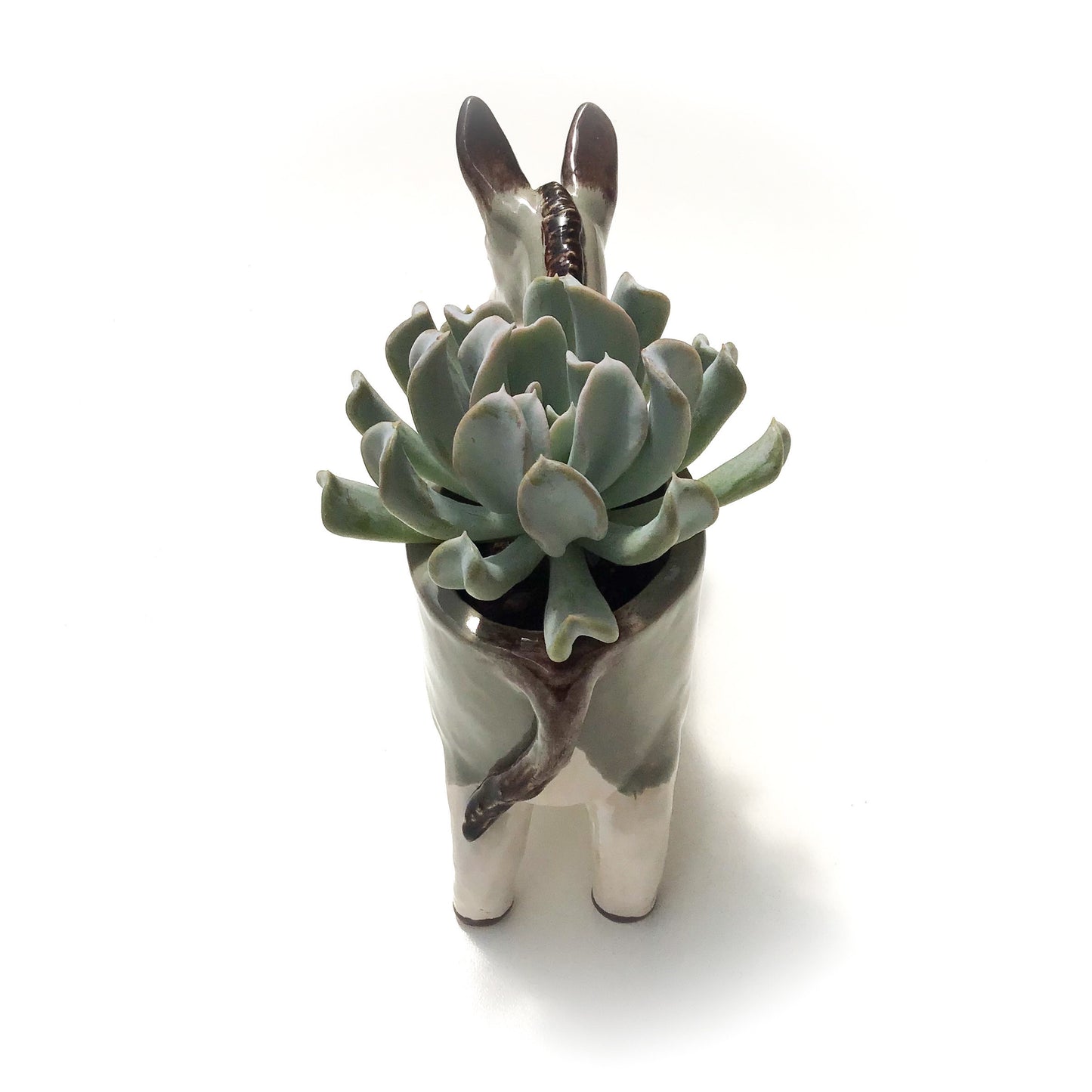 Donkey Planter - Ceramic Donkey Plant Pot