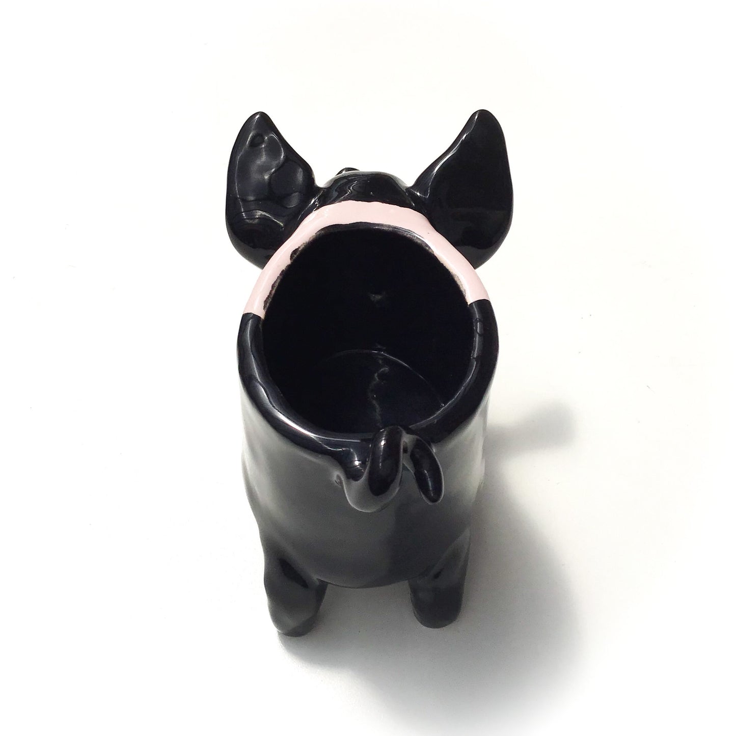 Hampshire Pig Pot - Ceramic Pig Planter