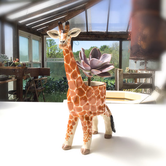 Giraffe Planter - Giraffe Succulent Pot