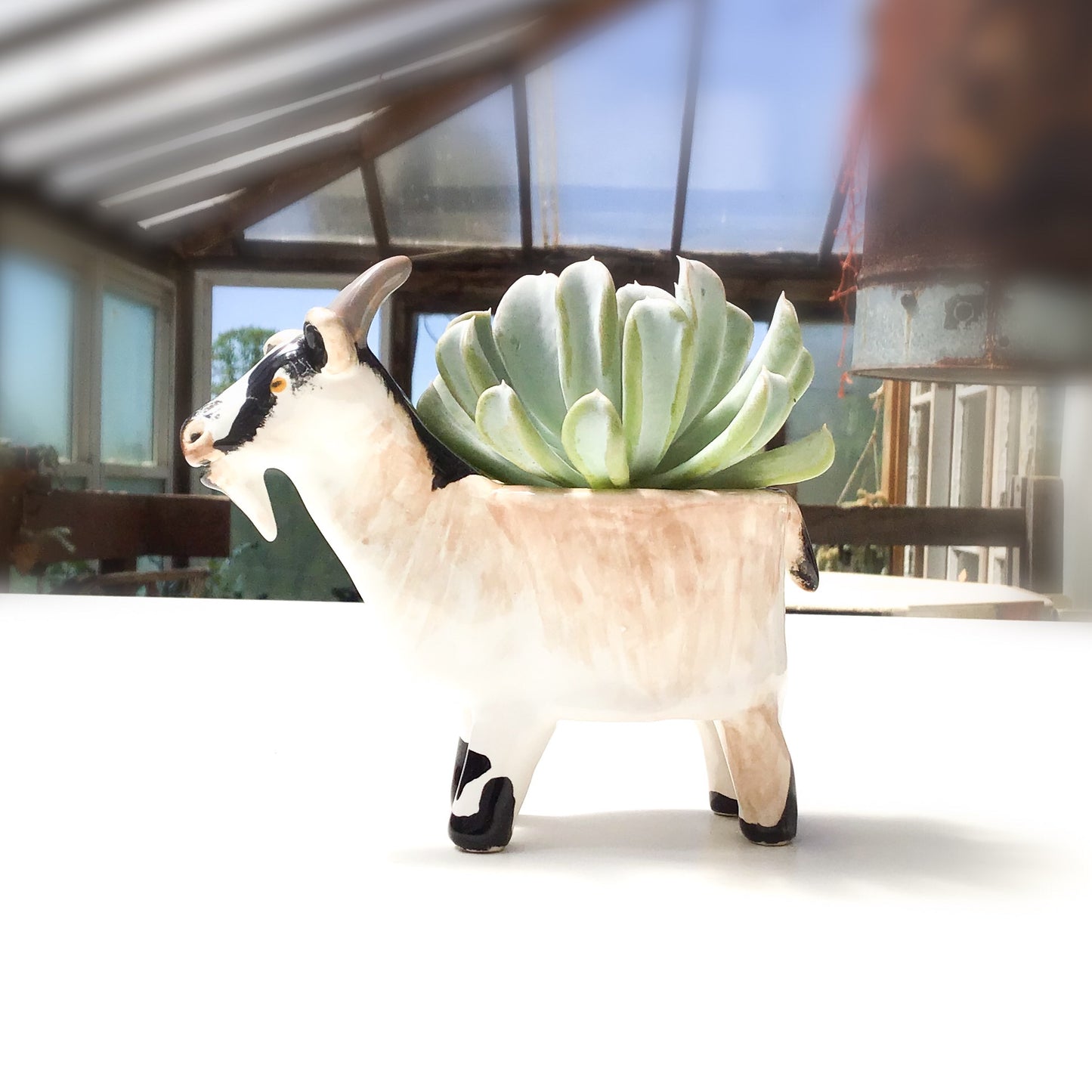 Pygmy Goat Pot - Ceramic Pygmy Goat Planter