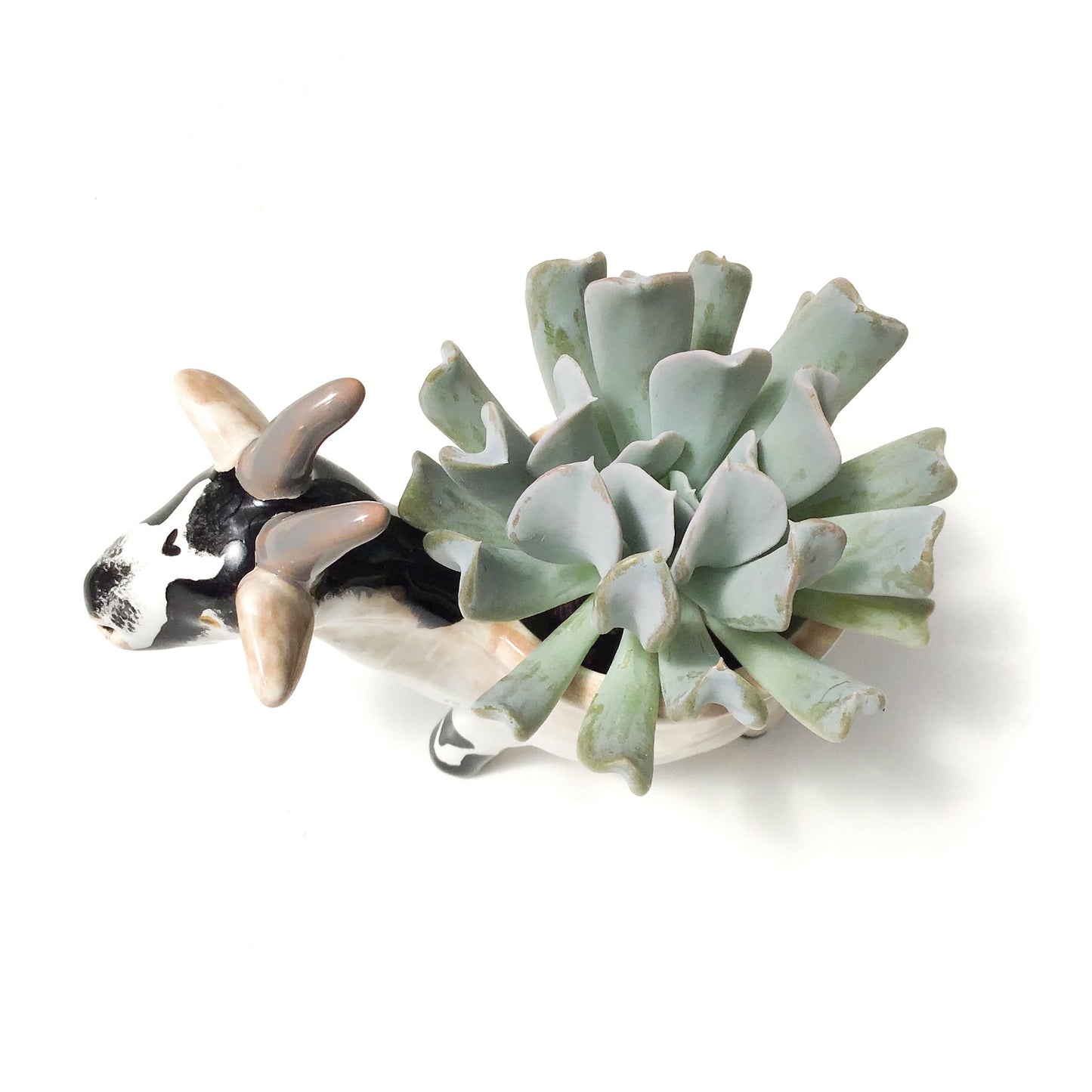 Pygmy Goat Pot - Ceramic Pygmy Goat Planter