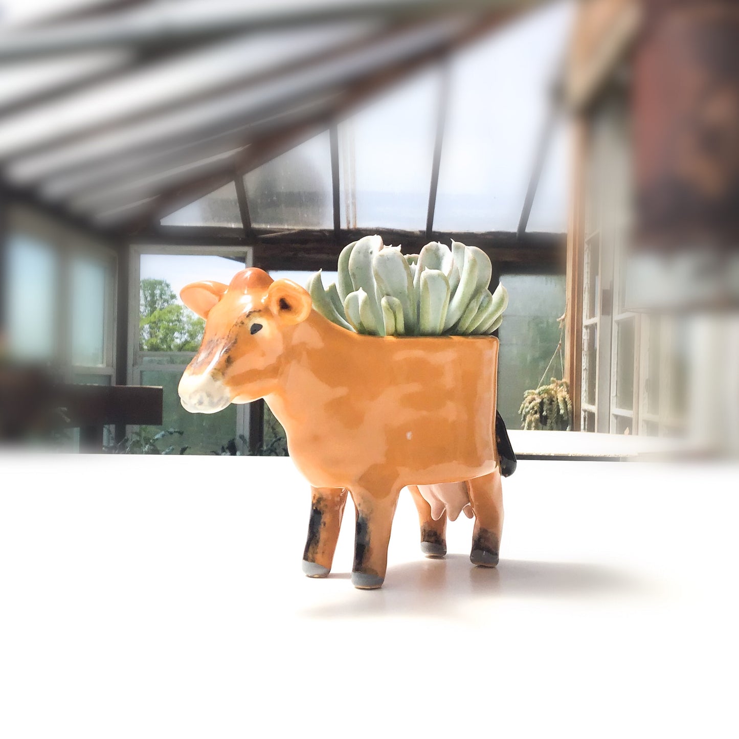 Jersey Cow Pot - Ceramic Dairy Cow Planter