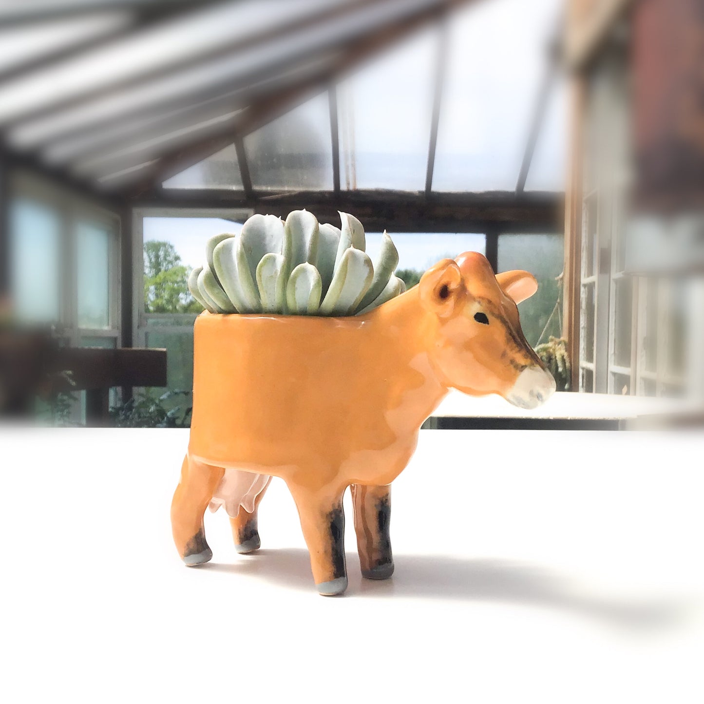 Jersey Cow Pot - Ceramic Dairy Cow Planter