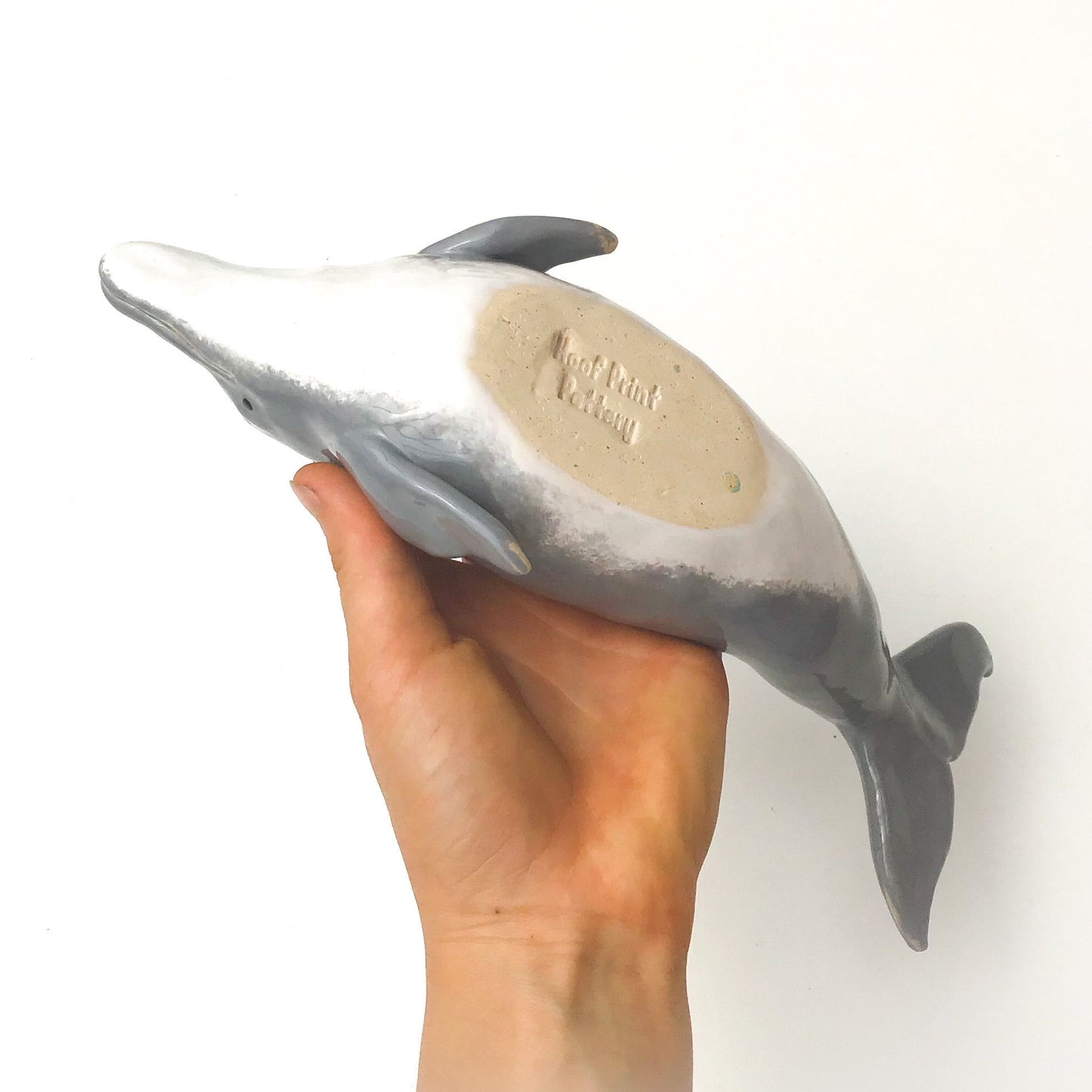 Bottlenose Dolphin Pot - Ceramic Dolphin Planter