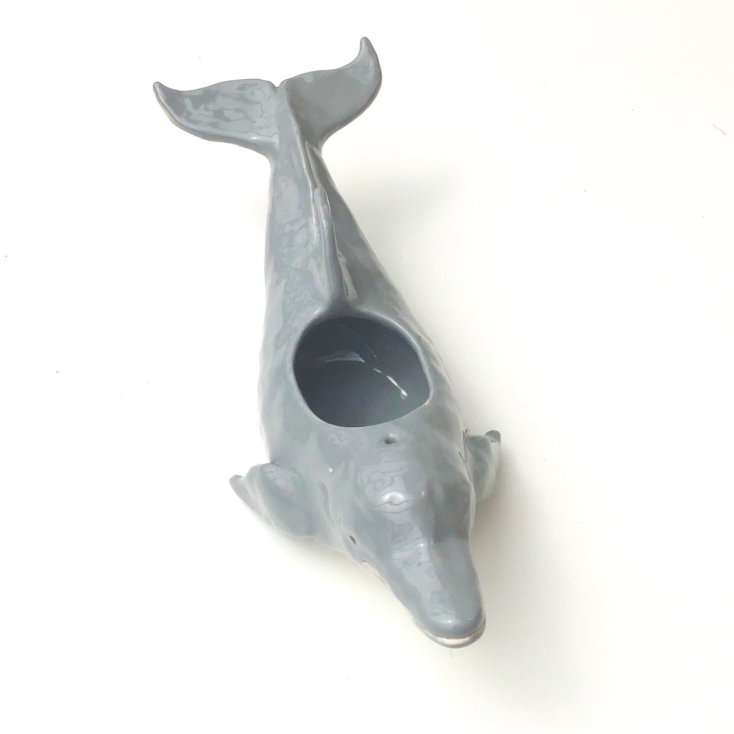 Bottlenose Dolphin Pot - Ceramic Dolphin Planter