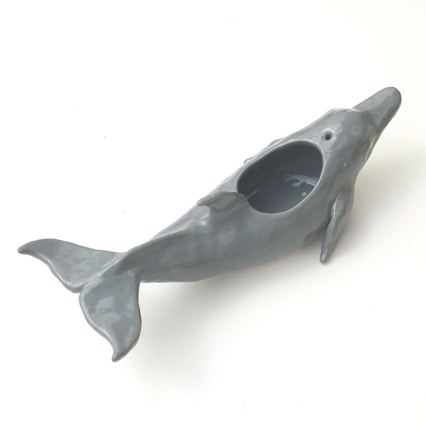 Bottlenose Dolphin Pot - Ceramic Dolphin Planter