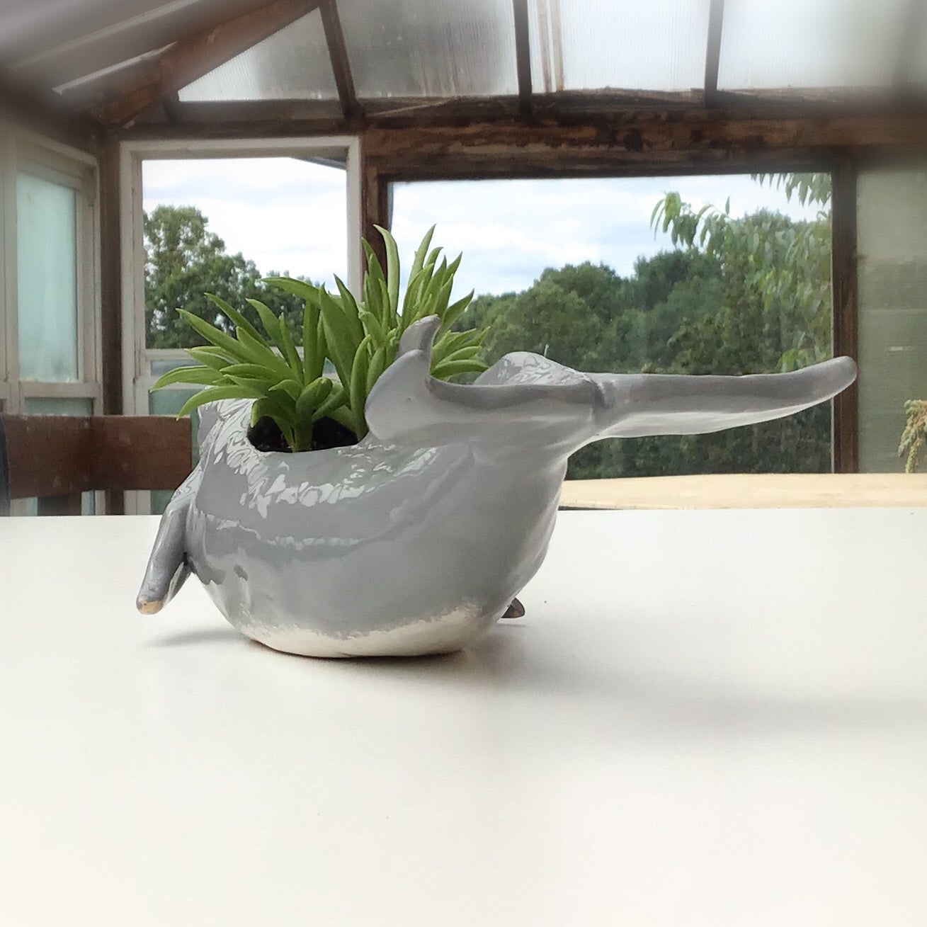 Bottlenose Dolphin Pot - Ceramic Dolphin Planter