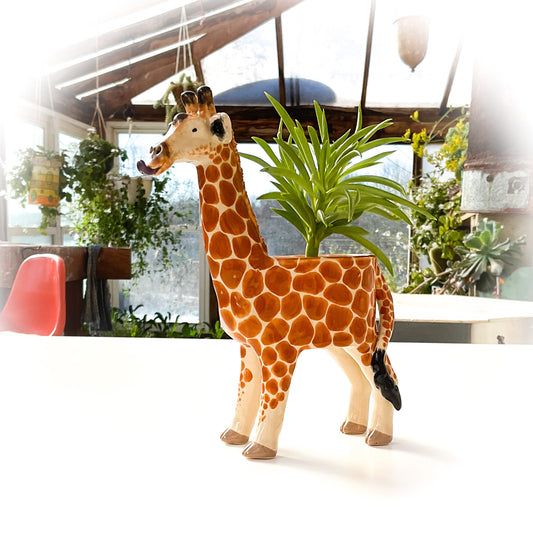 Giraffe Planter - Giraffe Succulent Pot