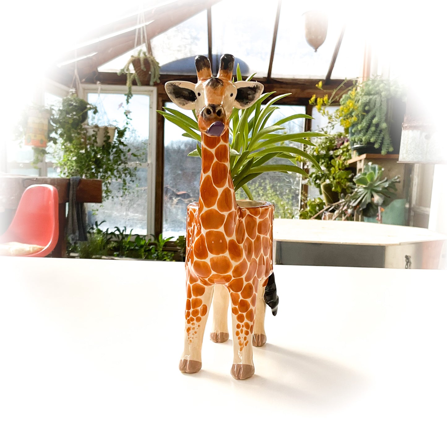 Giraffe Planter - Giraffe Succulent Pot