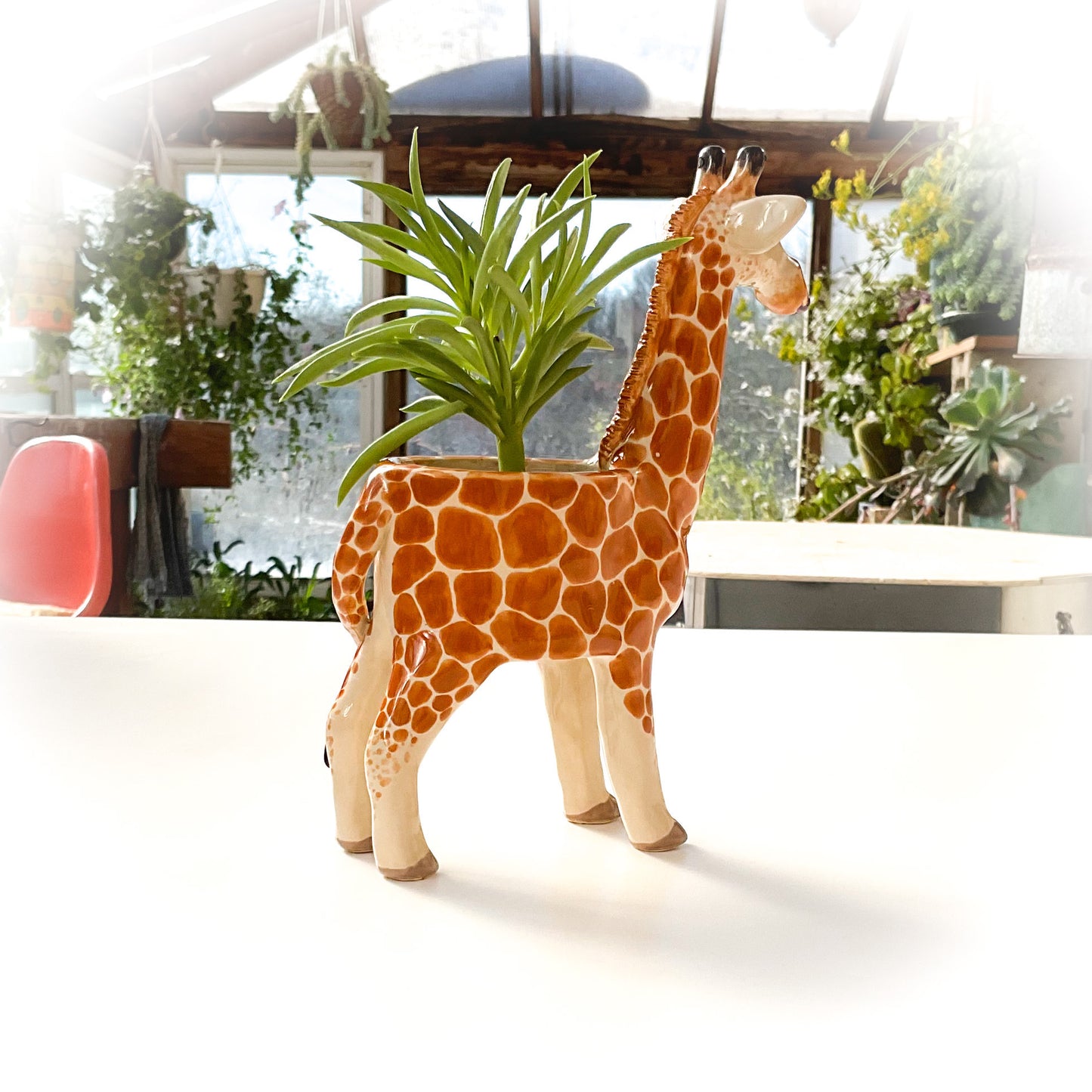 Giraffe Planter - Giraffe Succulent Pot