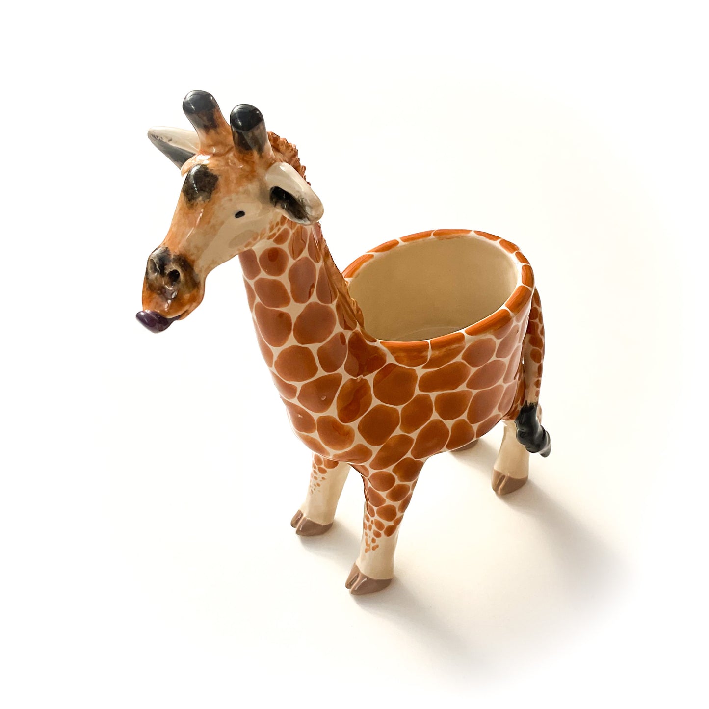 Giraffe Planter - Giraffe Succulent Pot