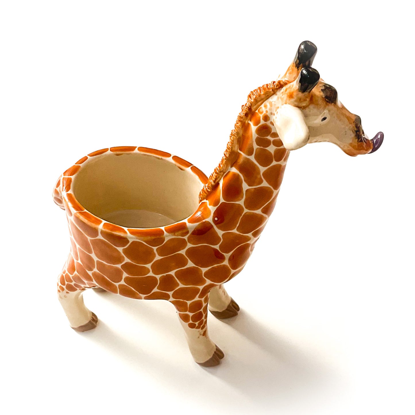 Giraffe Planter - Giraffe Succulent Pot