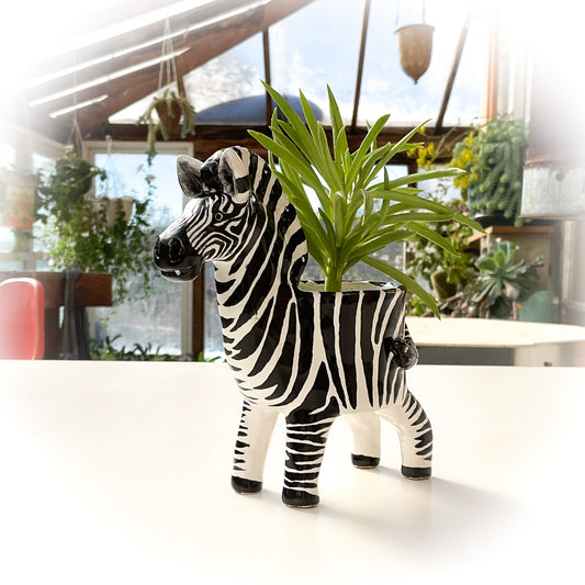 Zebra Planter - Zebra Succulent Pot