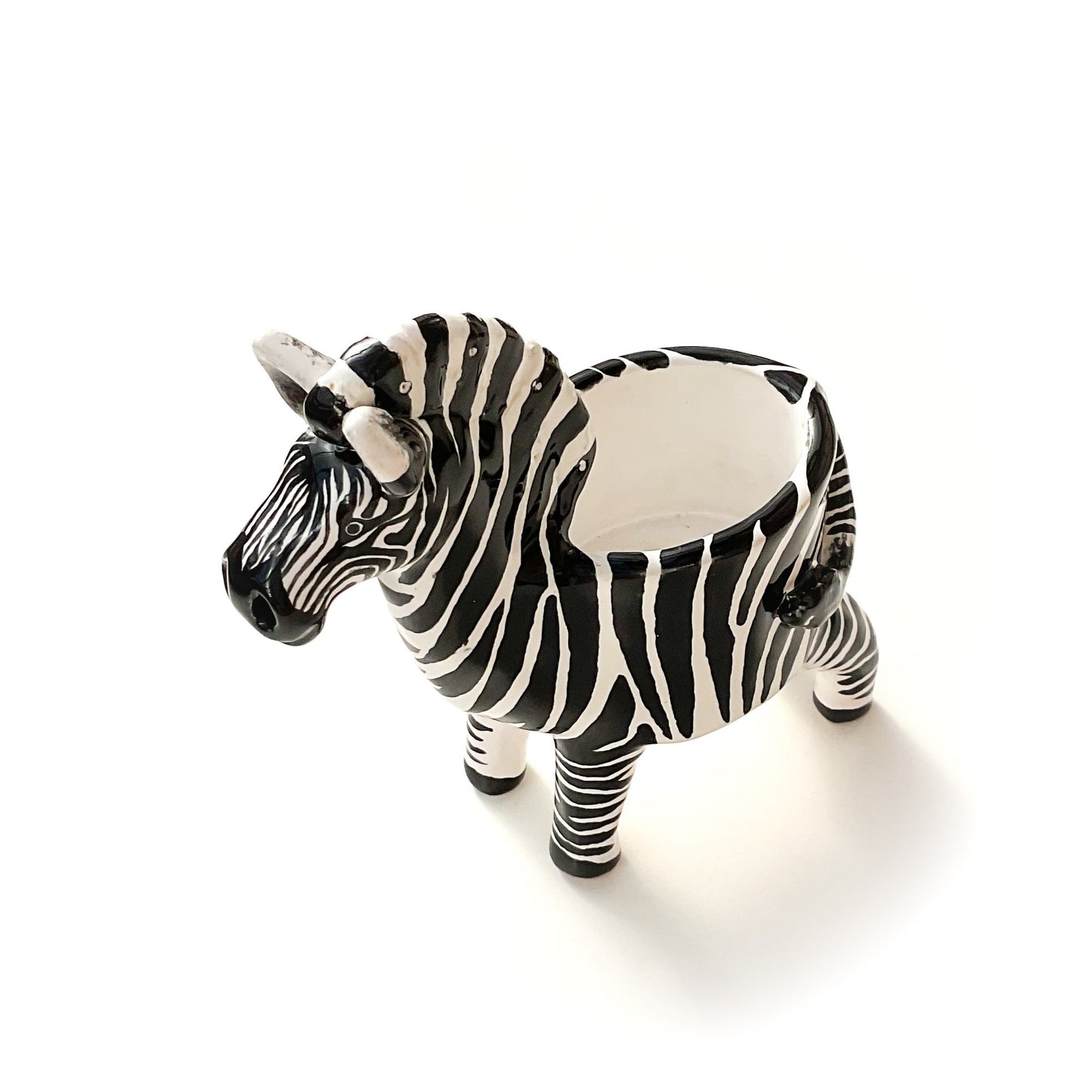 Zebra Planter - Zebra Succulent Pot