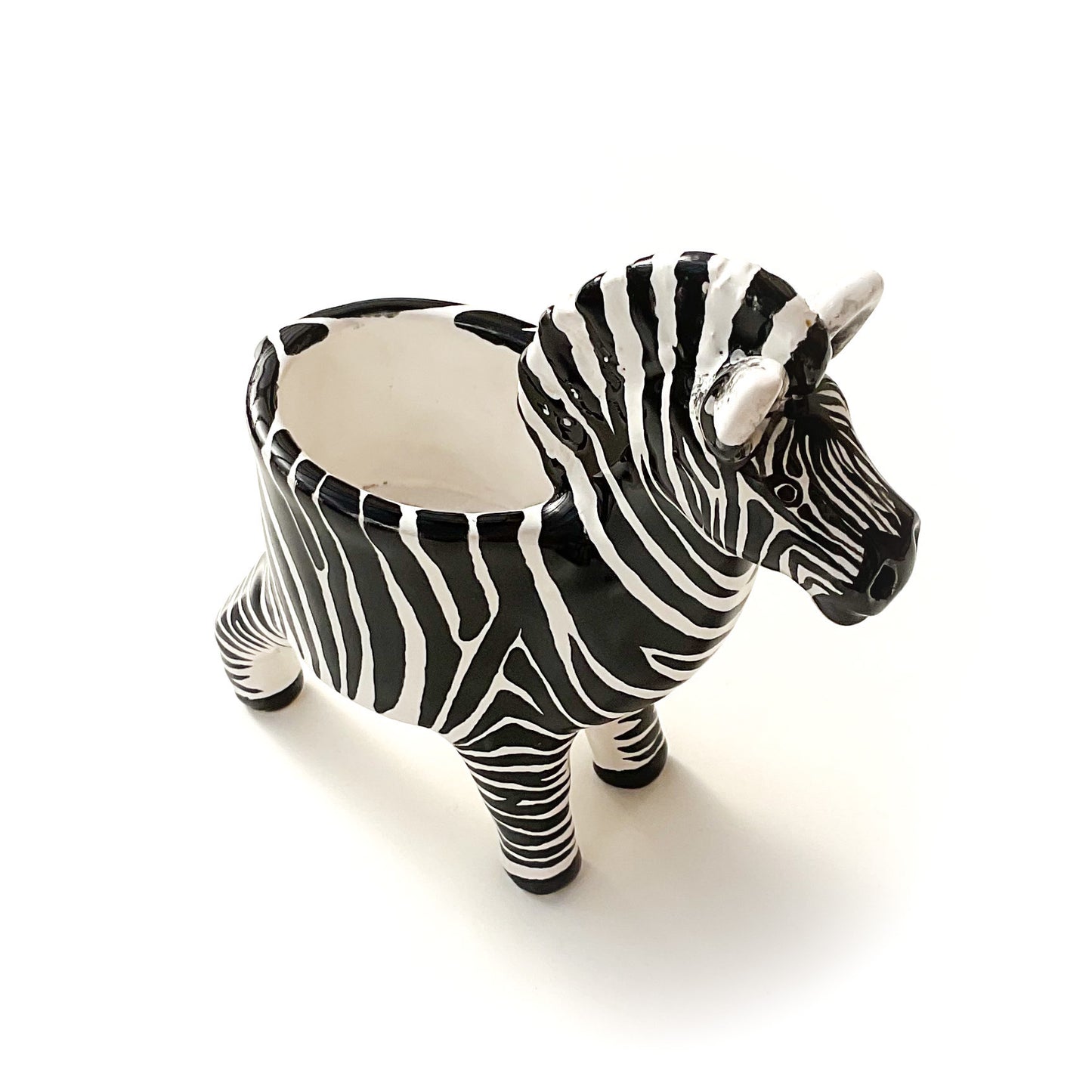 Zebra Planter - Zebra Succulent Pot