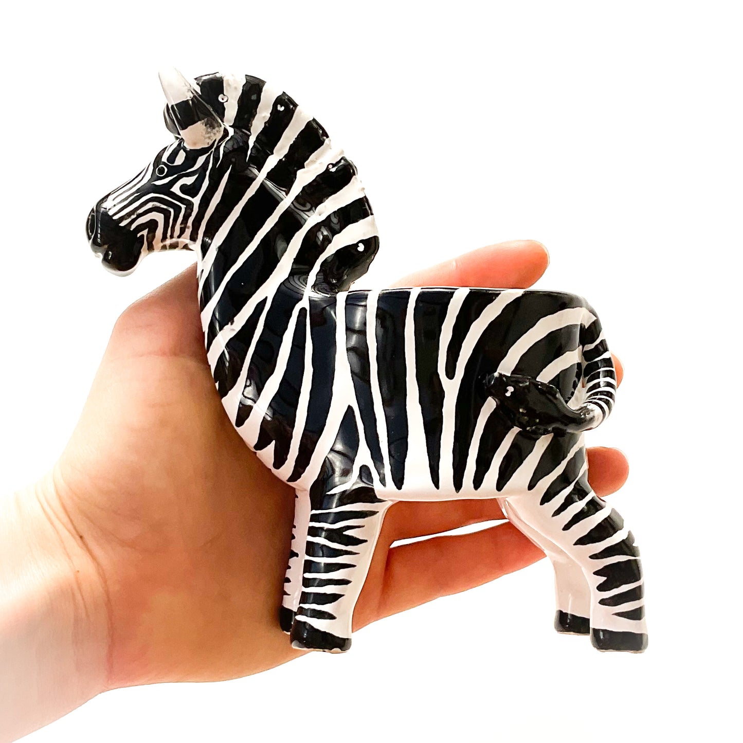 Zebra Planter - Zebra Succulent Pot