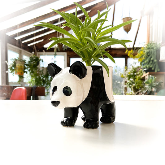 Baby Giant Panda Pot - Ceramic Panda Bear Planter