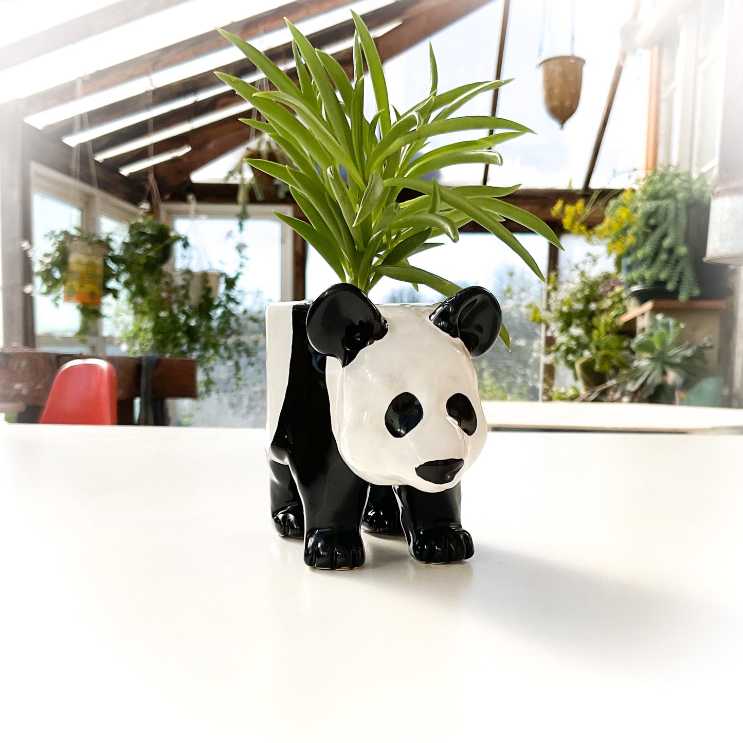 Baby Giant Panda Pot - Ceramic Panda Bear Planter