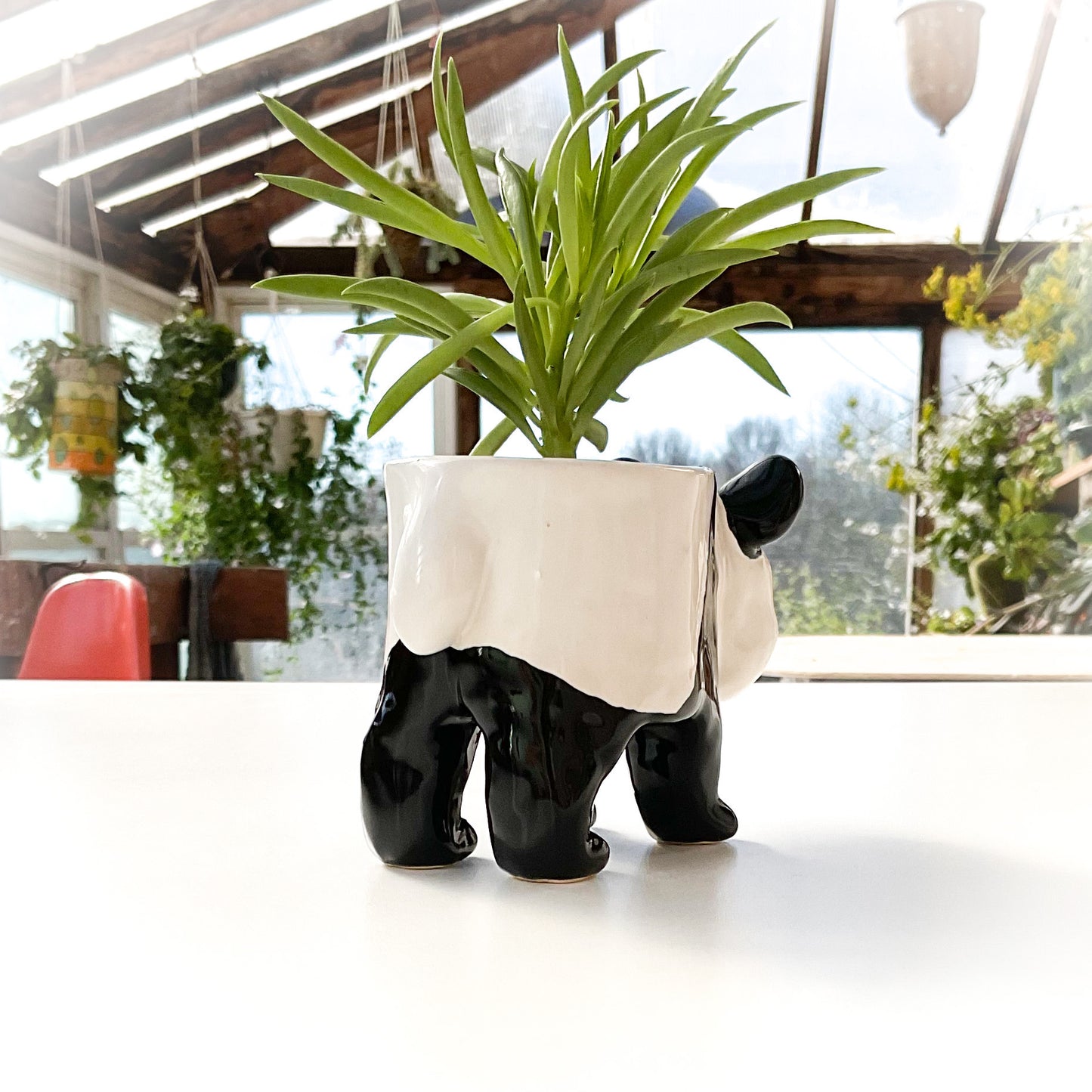 Baby Giant Panda Pot - Ceramic Panda Bear Planter