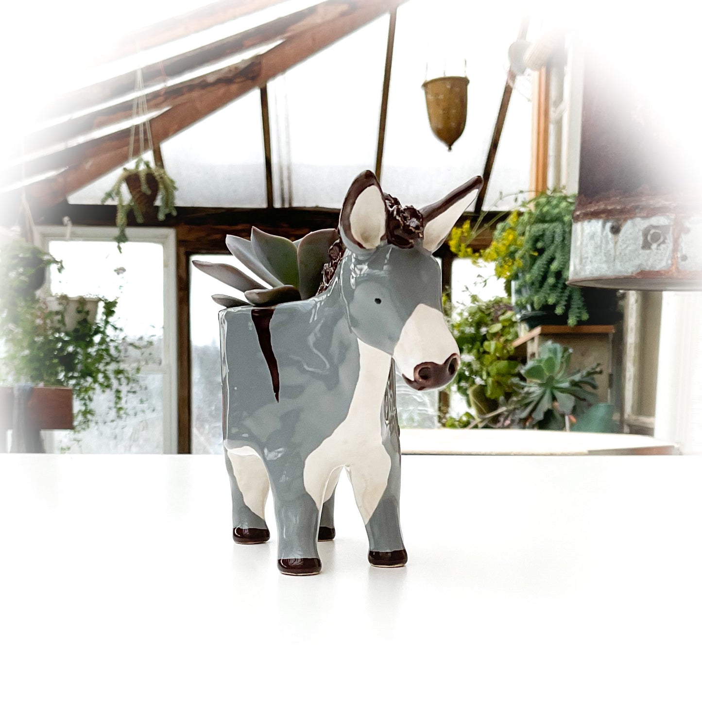 Donkey Planter - Ceramic Donkey Plant Pot